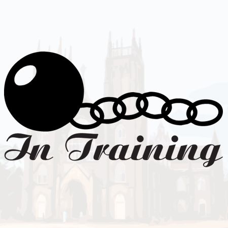 Ball and Chain in Training Iron on Transfer